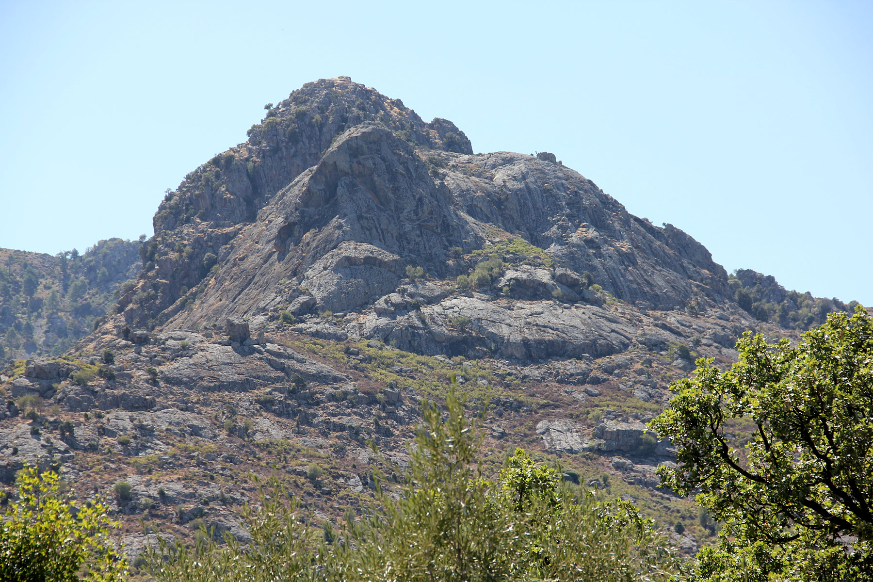 Calvi